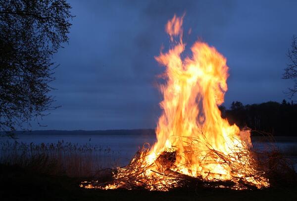 Halloweenfeuer Frose