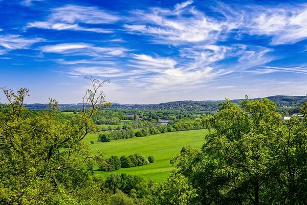 Landschaft